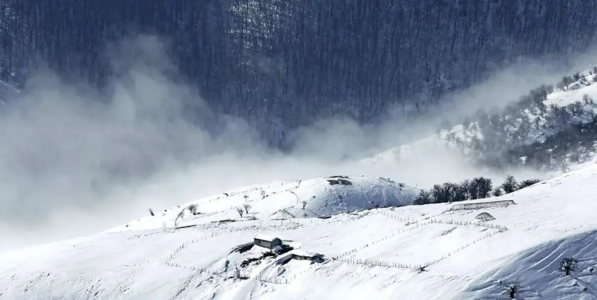 سرما و یخبندان در ۲۵ استان