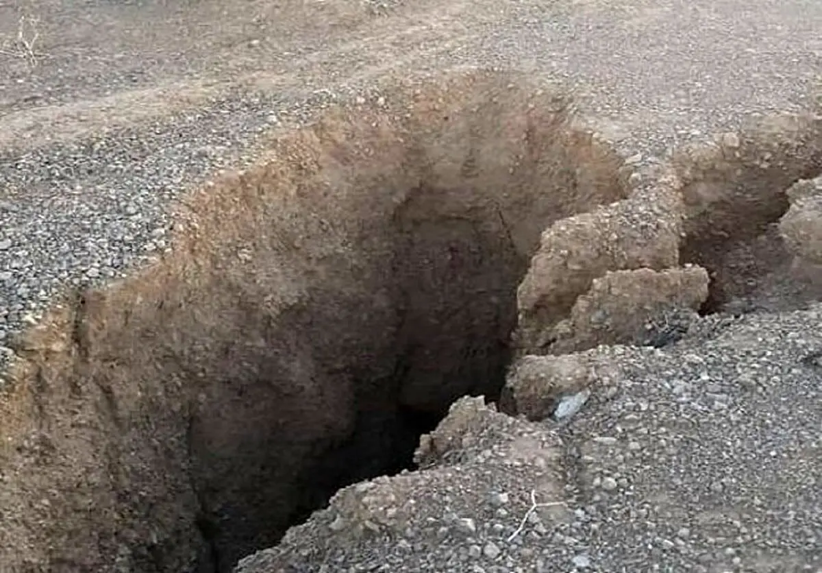 (ویدئو) ناپدید شدن یک درخت بر اثر فرونشست در شهرضا