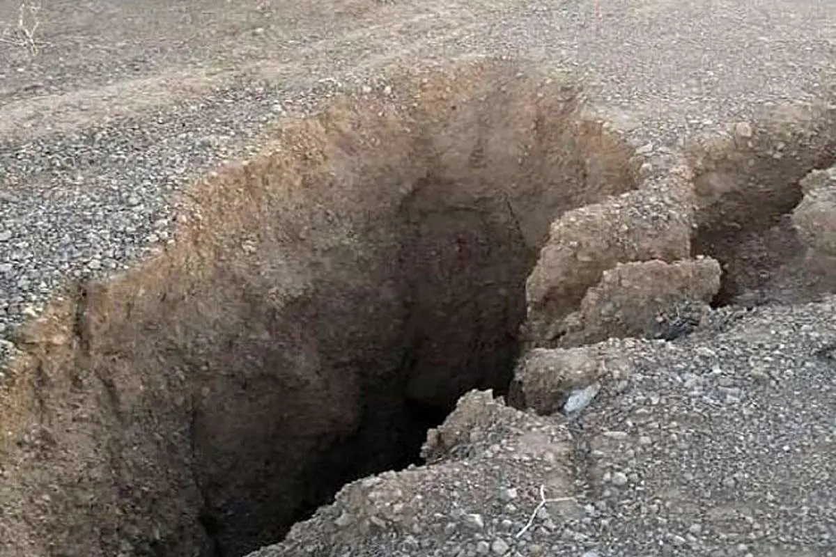 (ویدئو) ناپدید شدن یک درخت بر اثر فرونشست در شهرضا