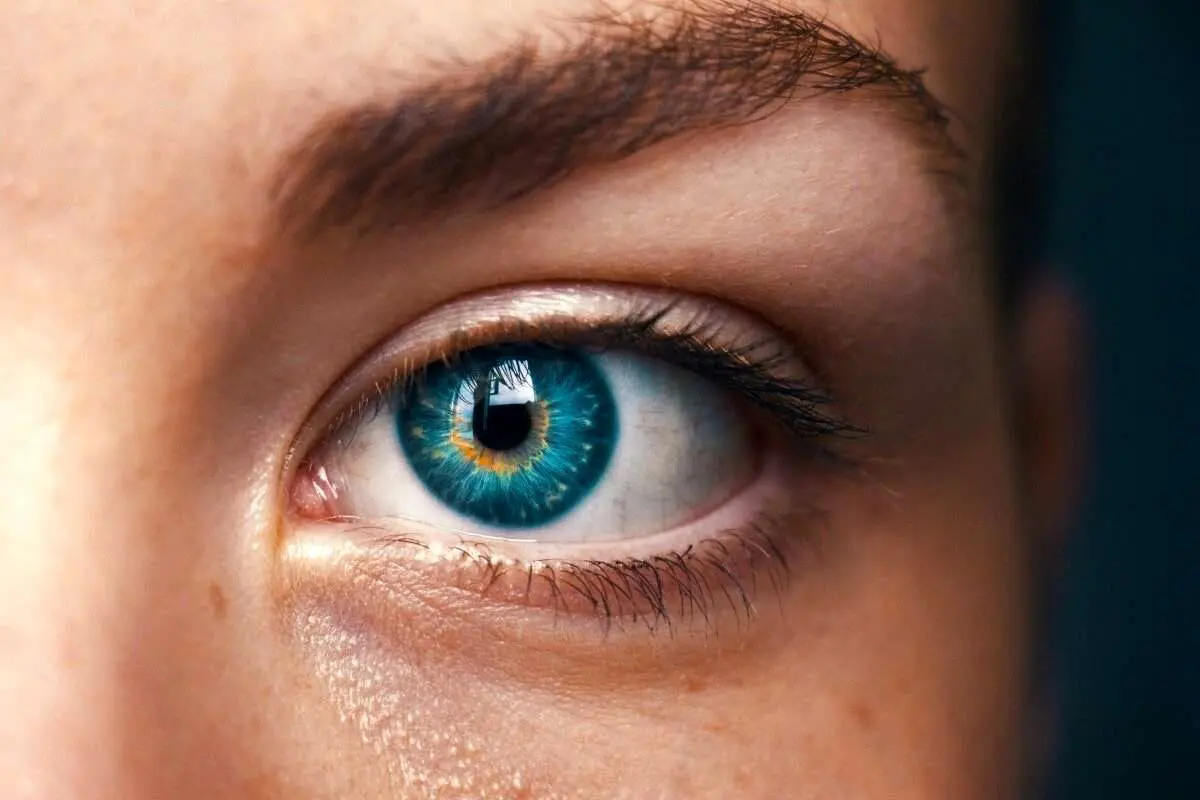 چشمها احتمال ابتلا به آلزایمر را پیش بینی میکنند