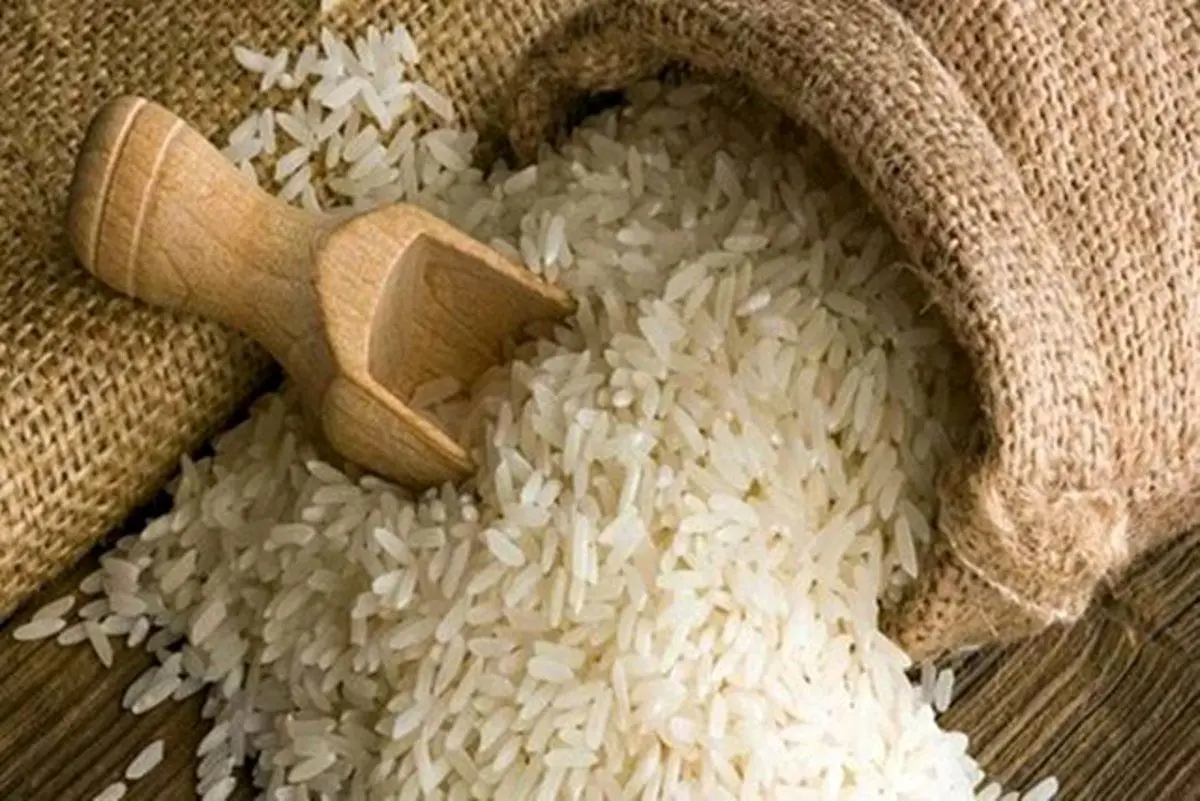 قیمت برنج ۶۰ درصد گران‌تر از نرخ خرید از کشاورز است