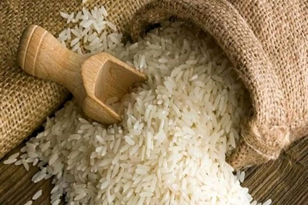 قیمت برنج ۶۰ درصد گرانتر از نرخ خرید از کشاورز است