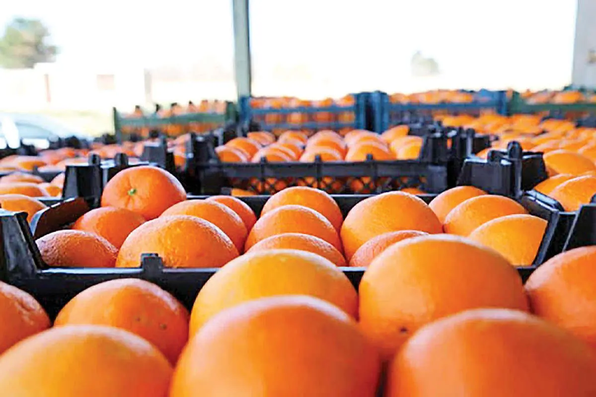 ماجرای جنجالی خرید گران میوه شب عید؛ اختلاف قیمت ۳۵۰ میلیارد تومانی!