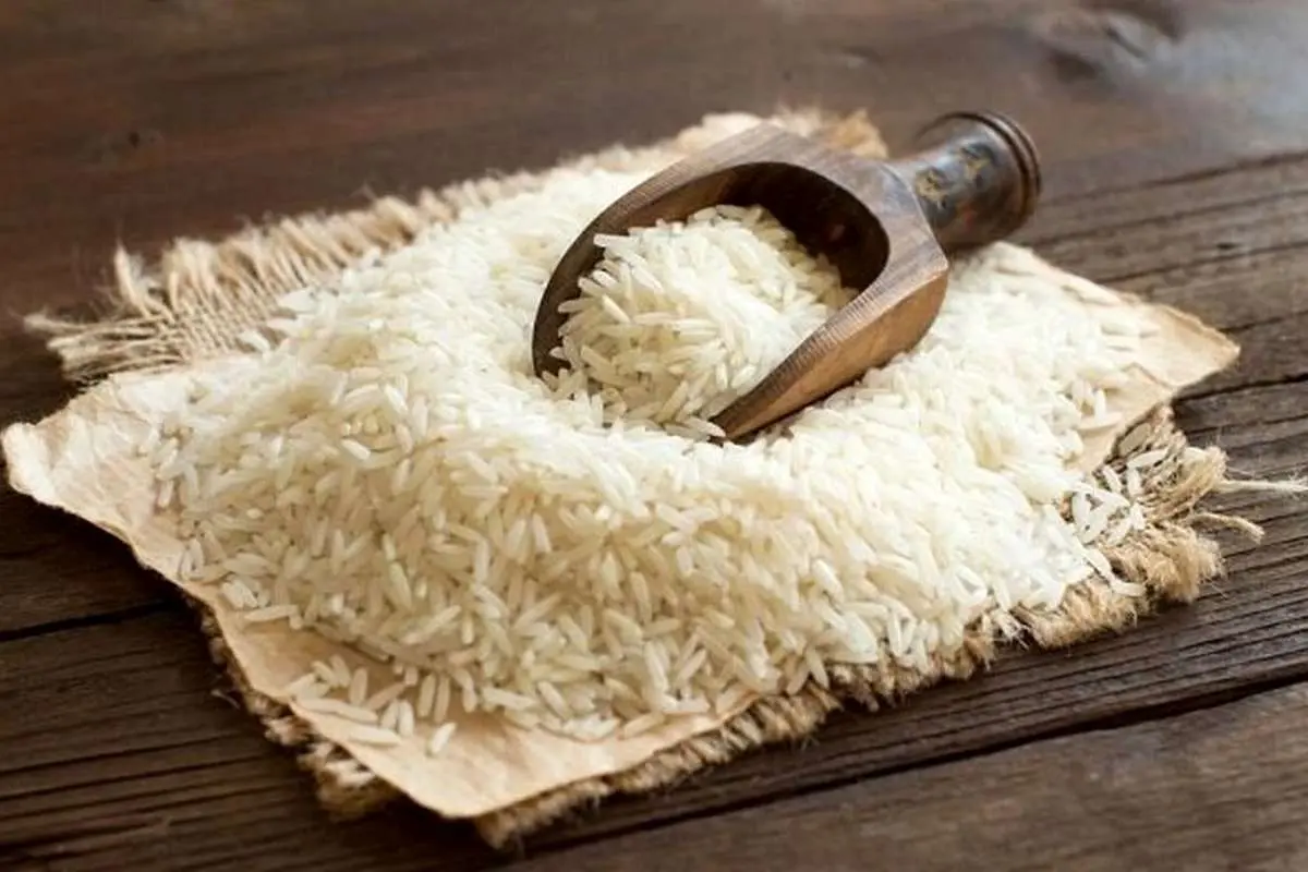 همه متهمان گرانی برنج