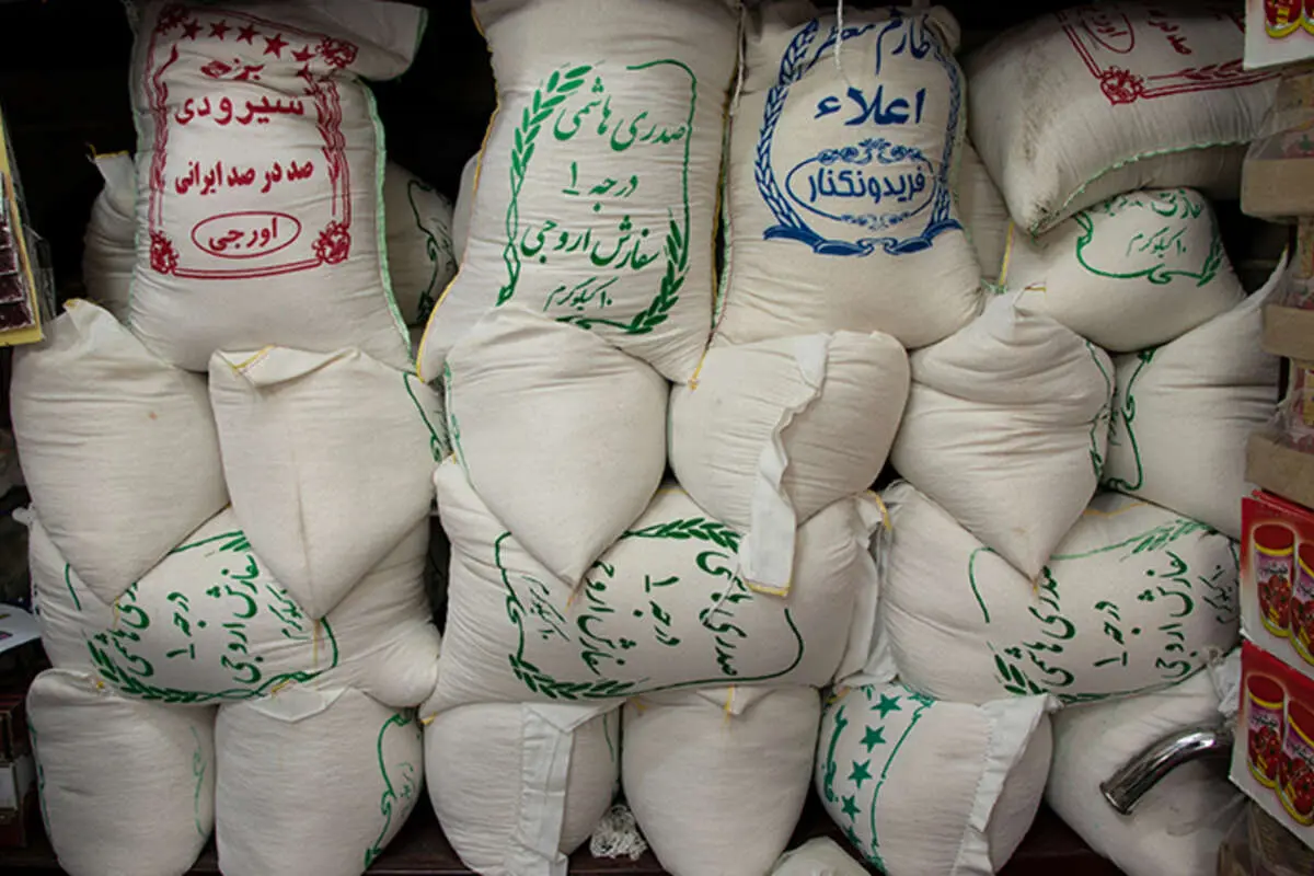 کاهش چشمگیر مصرف برنج ایرانی در کشور