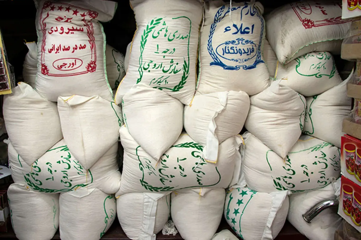 کاهش چشمگیر مصرف برنج ایرانی در کشور