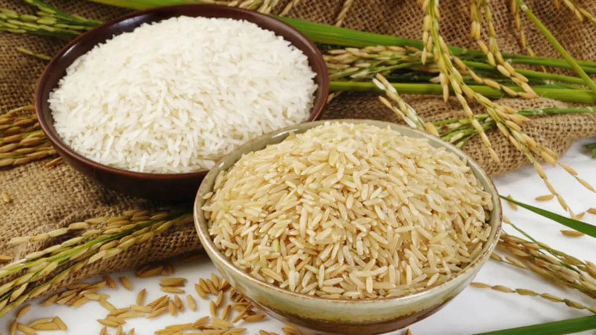 برنج قهوه‌ای یا سفید؛ کدام سالم‌تر است؟