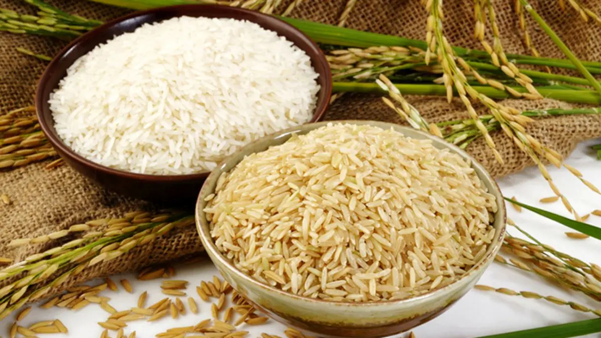 برنج قهوه‌ای یا سفید؛ کدام سالم‌تر است؟