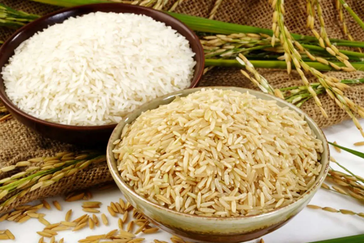 برنج قهوه‌ای یا سفید؛ کدام سالم‌تر است؟