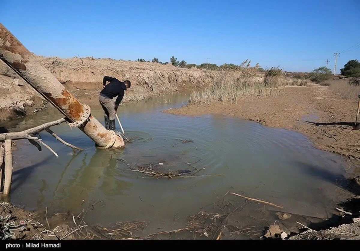 (تصاویر) بحران بی آبی در روستای ملیحات در هویزه