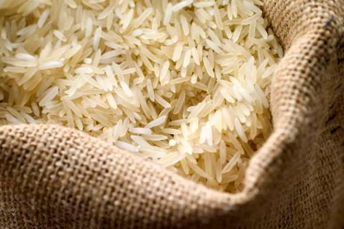 نماینده ساری: گرانی برنج غیر منطقی است