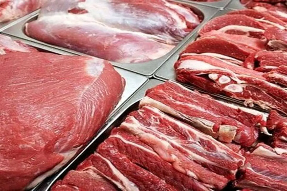 زمینه چینی مافیای گوشت برای واردات