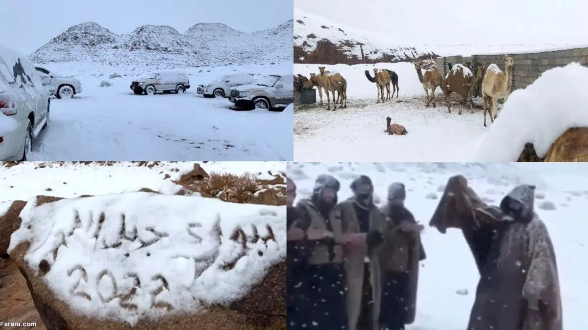 (ویدئو) بارش سنگین برف در تبوک عربستان برای سومین‌بار