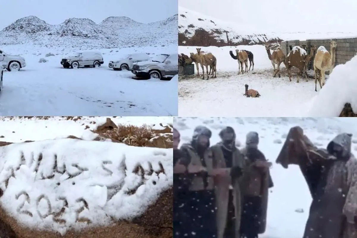 (ویدئو) بارش سنگین برف در تبوک عربستان برای سومینبار