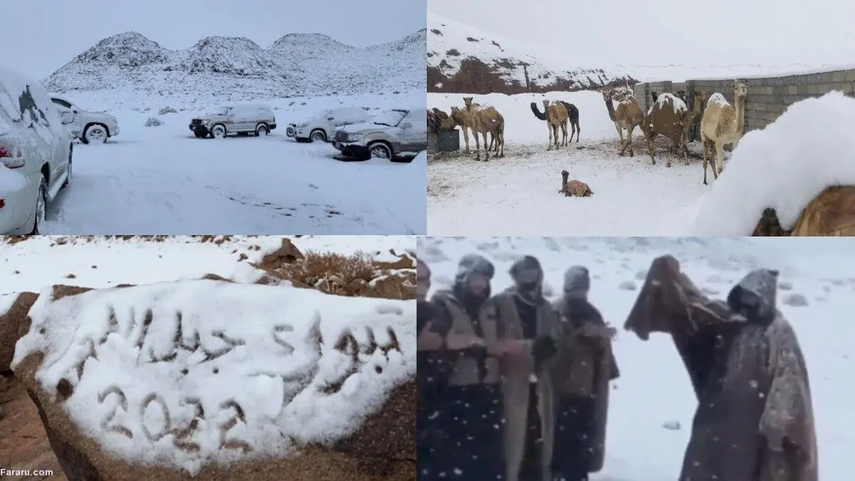 (ویدئو) بارش سنگین برف در تبوک عربستان برای سومین‌بار