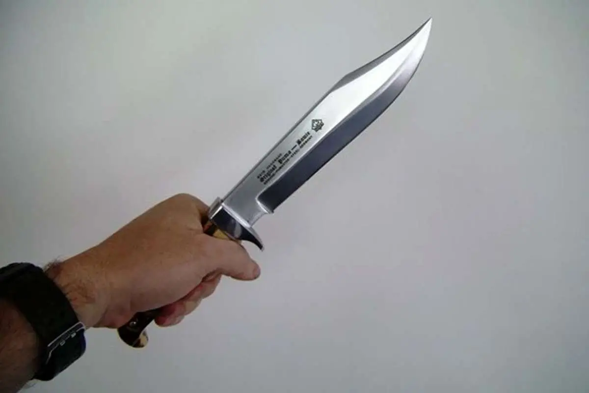 طعمهها مقاومت میکردند، چاقو میزدیم!