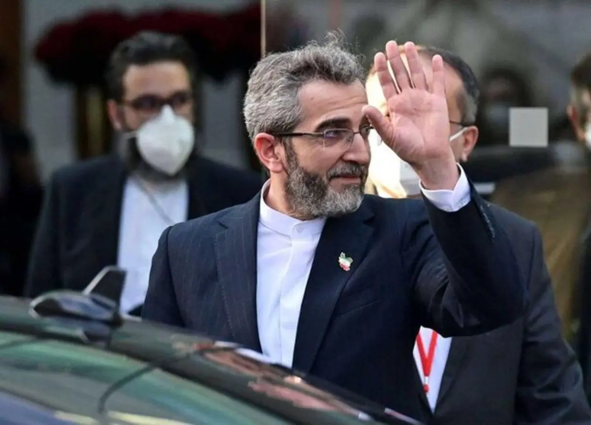 علی باقری از وین به تهران باز می‌گردد