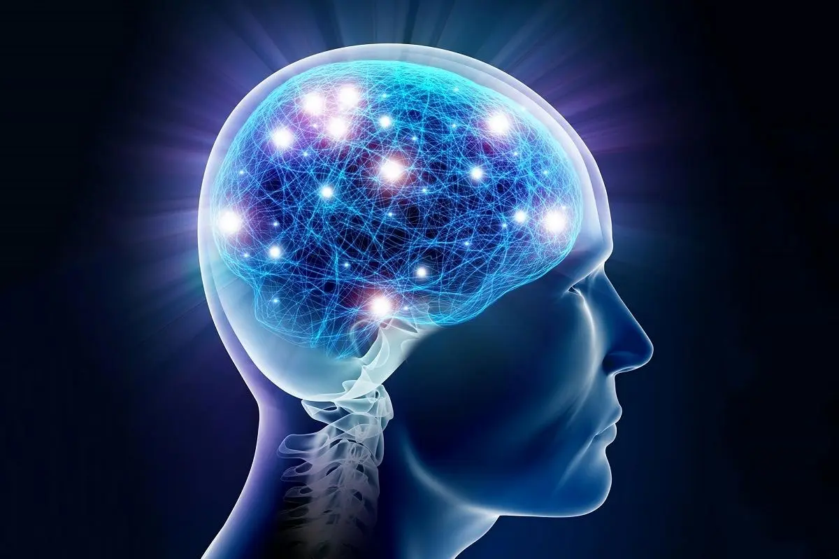 مغز انسان چگونه خاطرات را تفکیک، ذخیره و بازیابی می‌کند؟