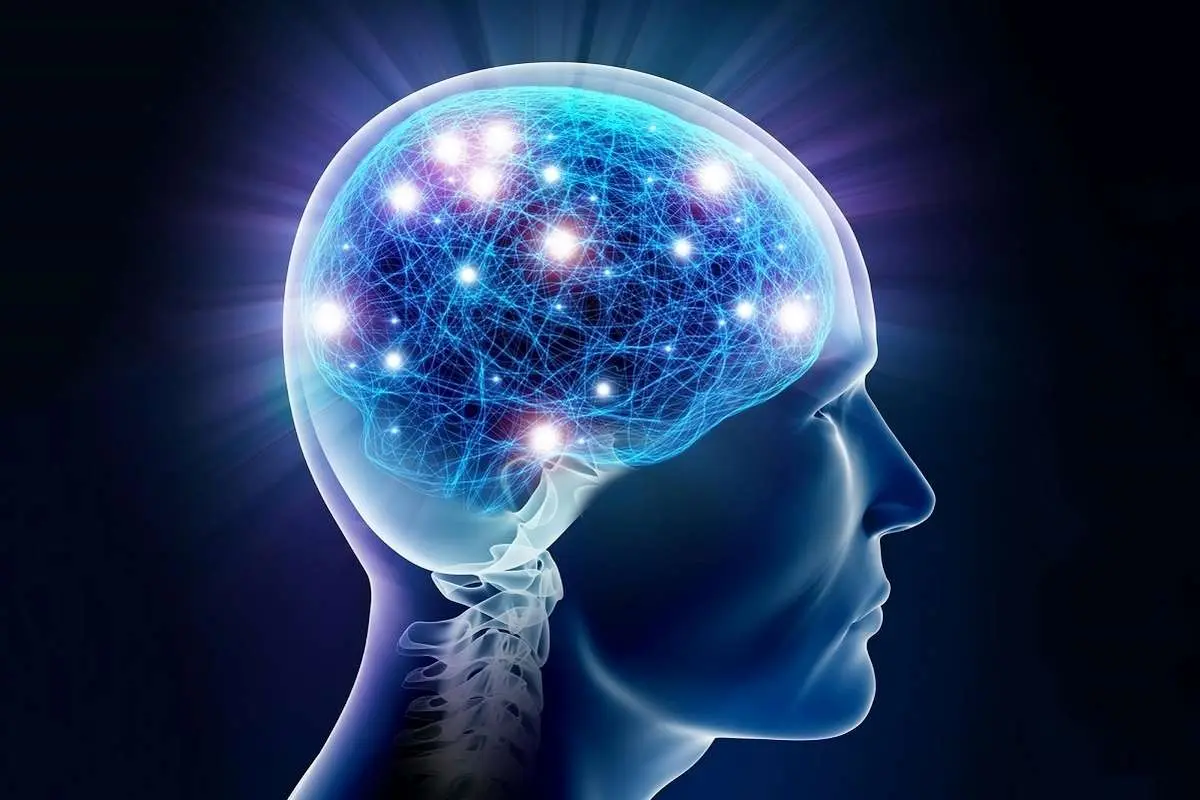 مغز انسان چگونه خاطرات را تفکیک، ذخیره و بازیابی می‌کند؟