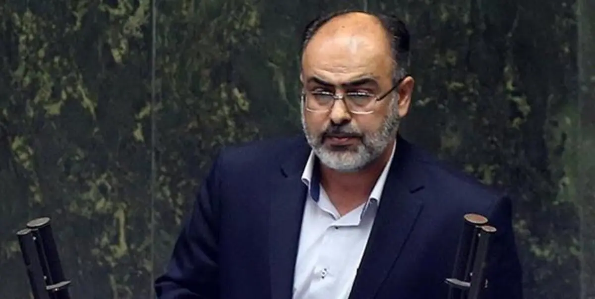 یک نماینده، منتقدان طرح صیانت را «سگ‌های قلاده بلند» خواند