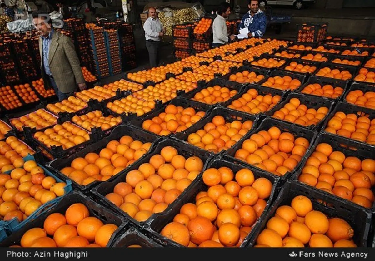 سیب و پرتقال‌هایی که ارزان‌تر از نرخ تنظیم بازار هستند!