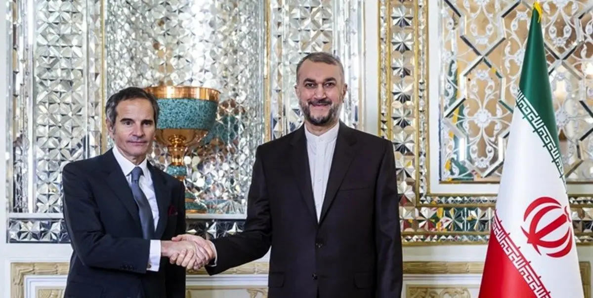 دیدار امیرعبداللهیان و گروسی