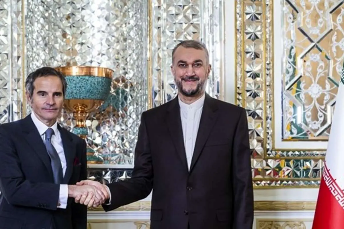 دیدار امیرعبداللهیان و گروسی