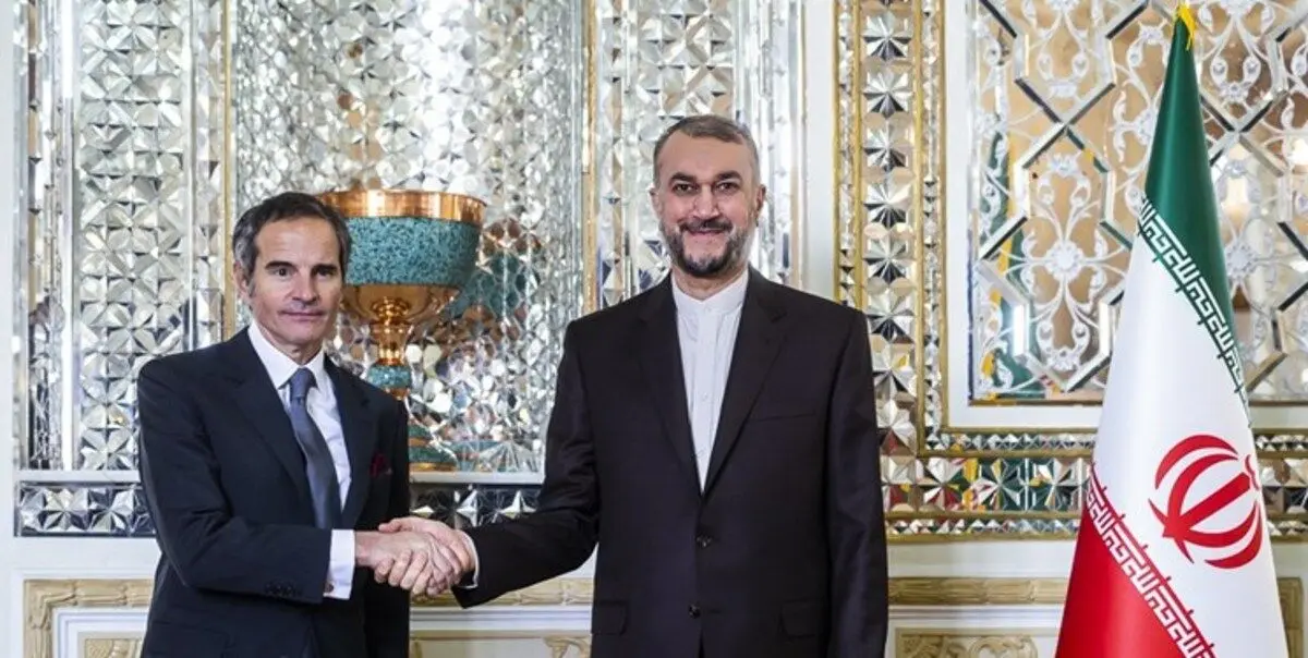 دیدار امیرعبداللهیان و گروسی