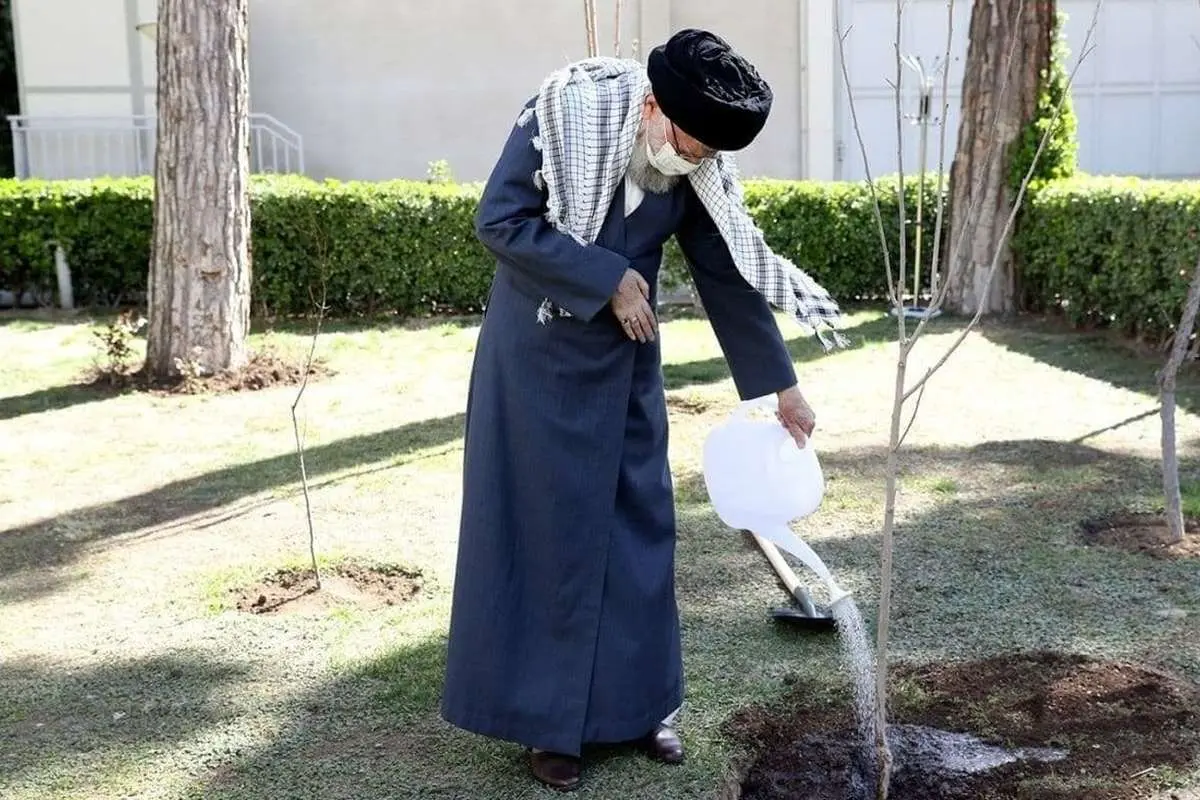 رهبر انقلاب: تخریب جنگل، تخریب منافع ملی است