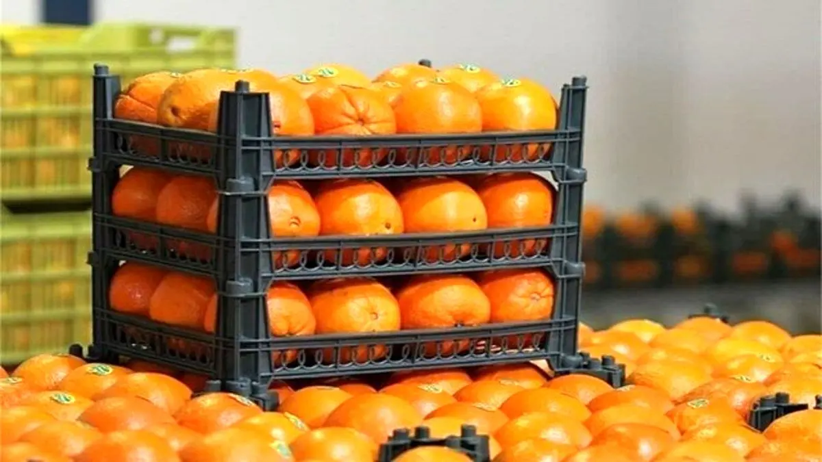 قیمت میوه‌های تنظیم بازاری شب عید
