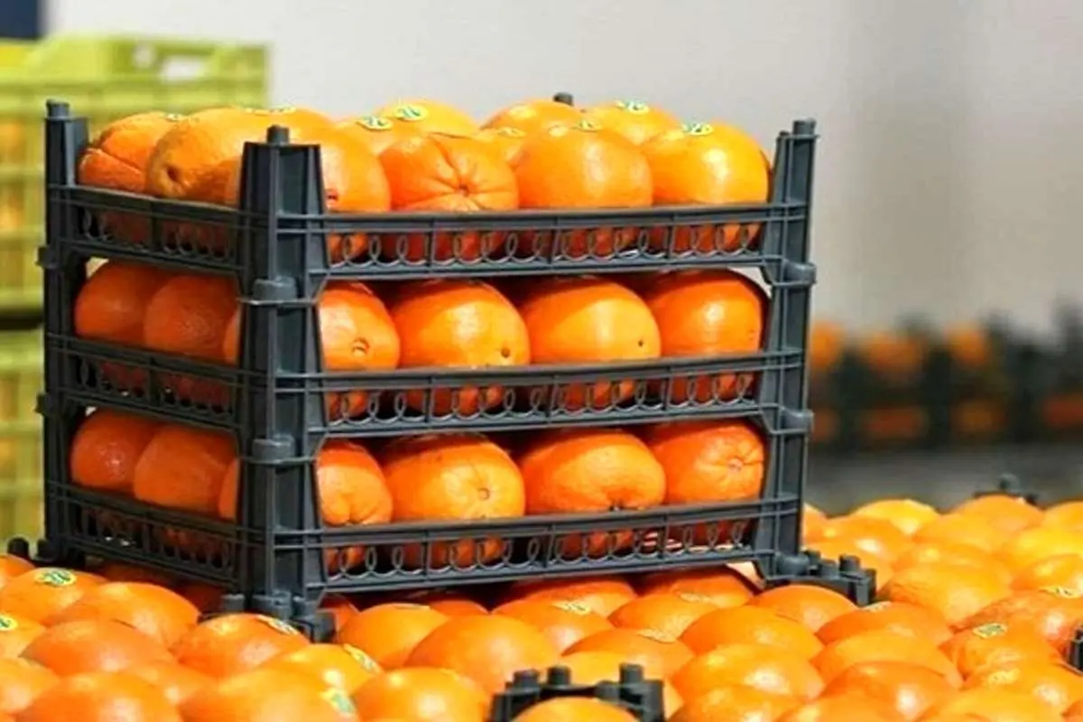 قیمت میوههای تنظیم بازاری شب عید