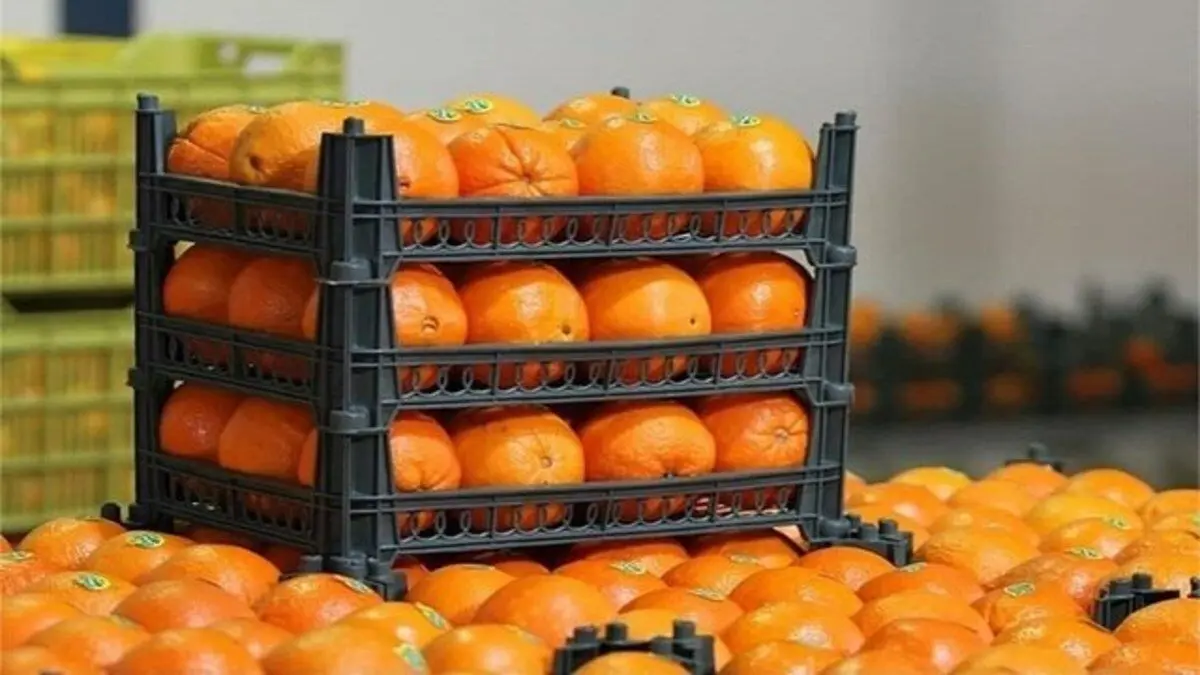 قیمت میوه‌های تنظیم بازاری شب عید