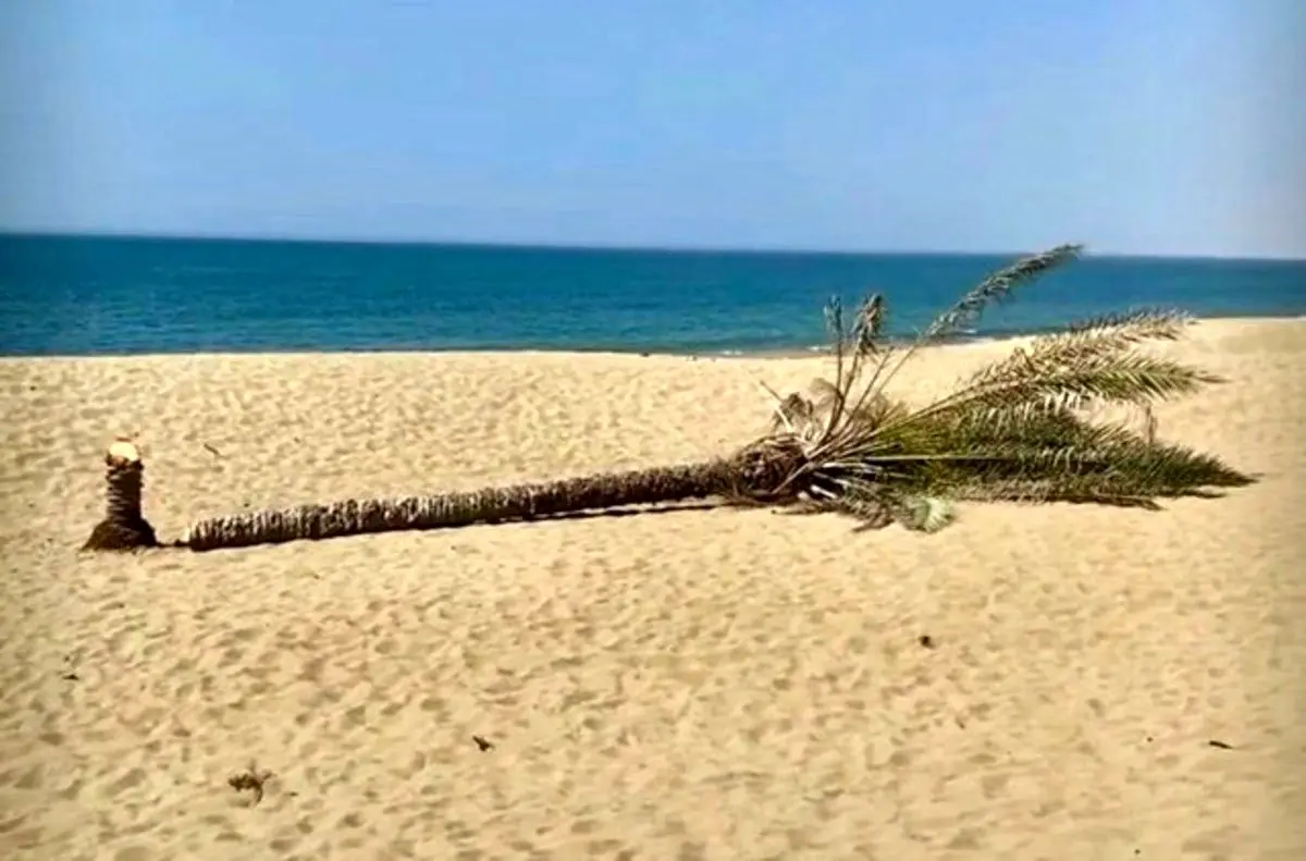 نماد گردشگری را سر بریدند!
