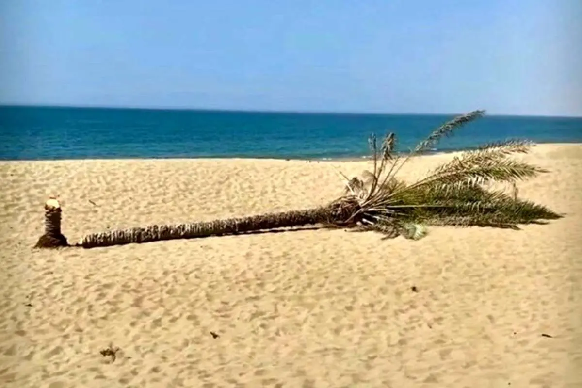 نماد گردشگری را سر بریدند!