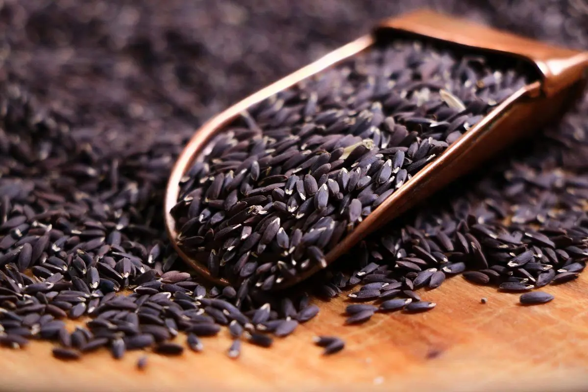 معجزه تخم کتان برای لاغری و پوست