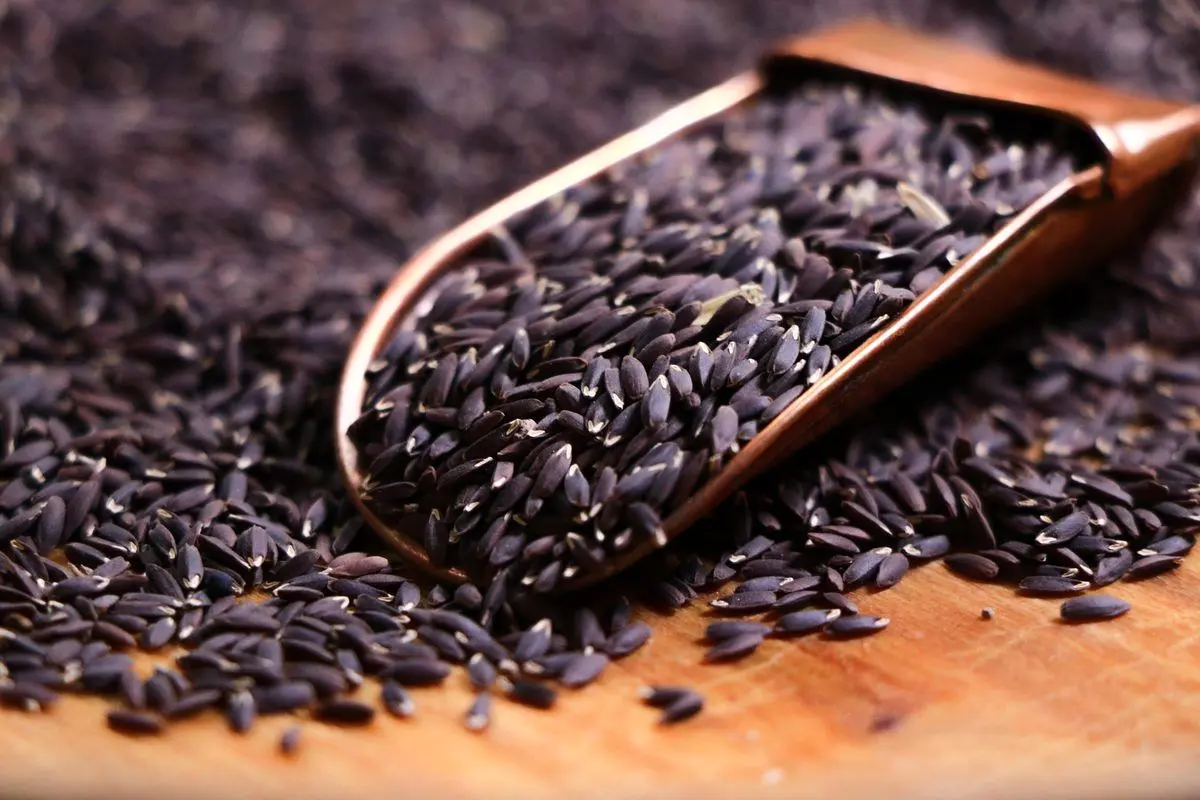 معجزه تخم کتان برای لاغری و پوست