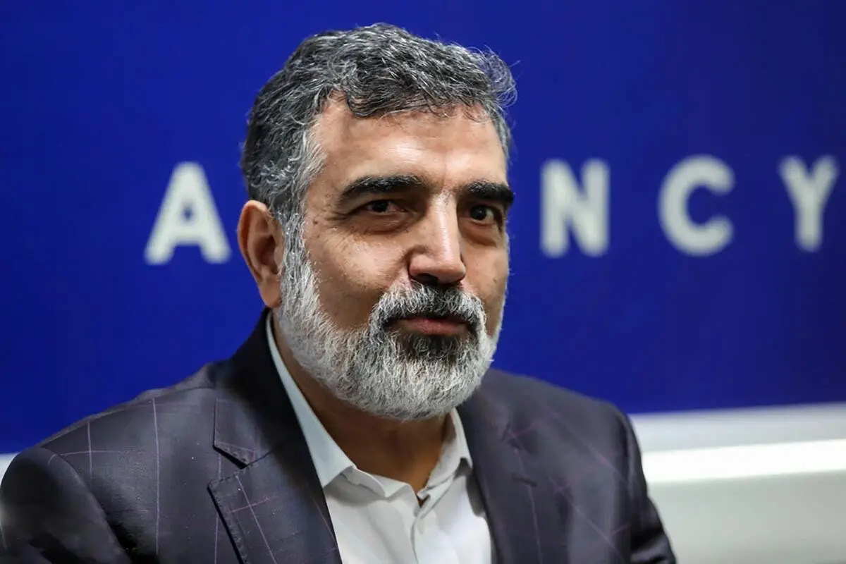 کمالوندی: ایجاد نیروگاه‌های هسته‌ای امری فانتزی نیست