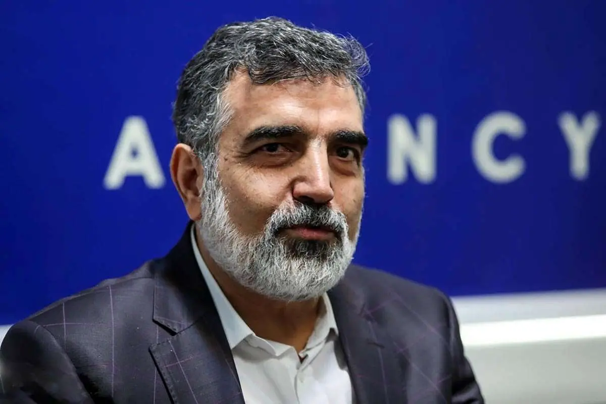 کمالوندی: ایجاد نیروگاه‌های هسته‌ای امری فانتزی نیست