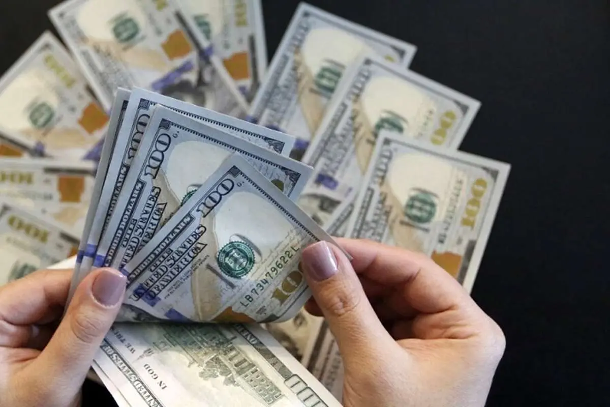 سیر تا پیاز نرخ ارز در سال ۱۴۰۱