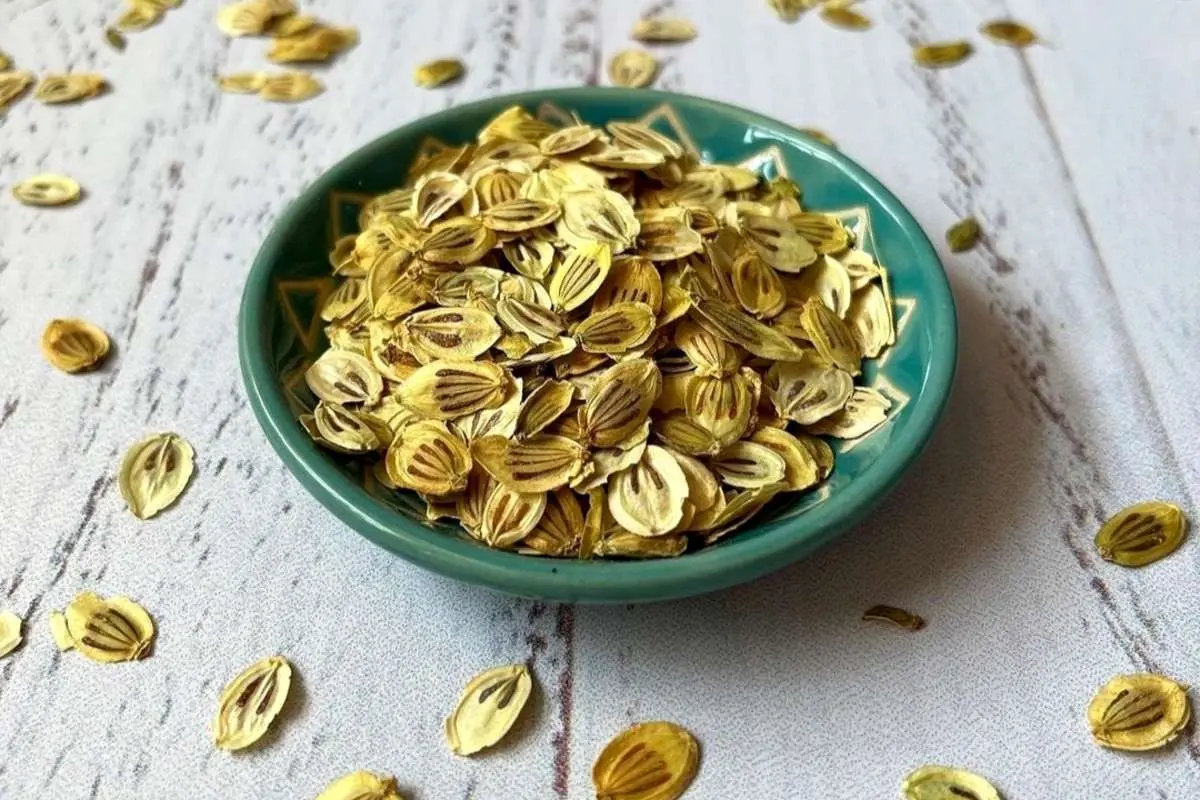 خواص و کاربرد «گلپر» در آشپزی