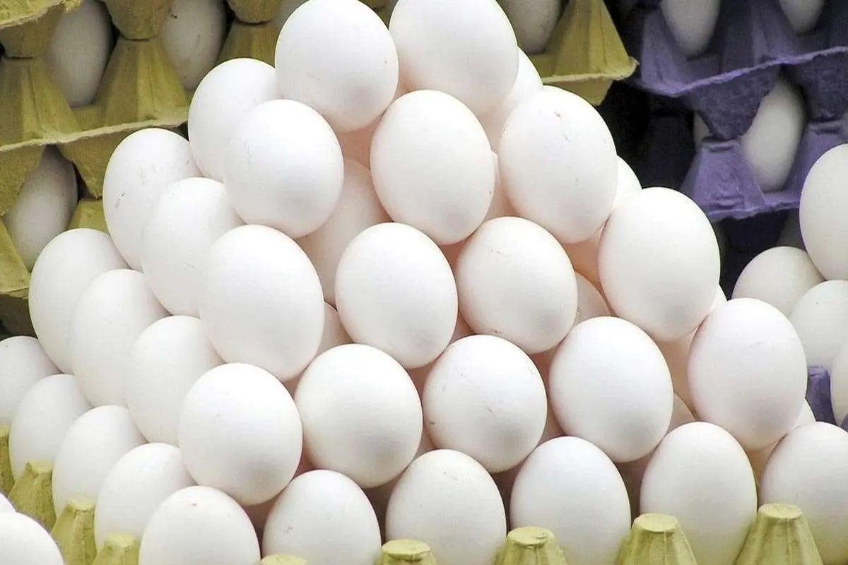 کاهش قیمت تخم مرغ در میادین میوه و ترهبار