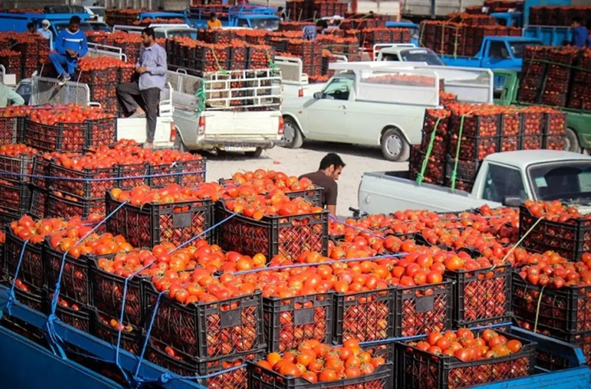 کاهش قیمت گوجه فرنگی و سیب زمینی