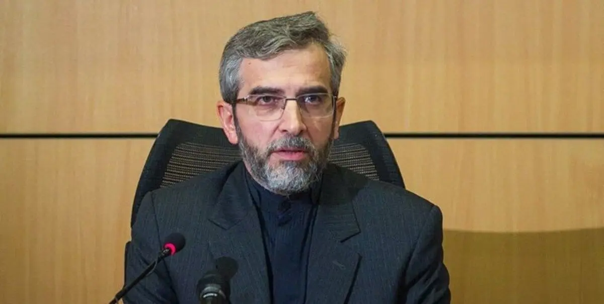 باقری: برخی دولت‌های منطقه به لانه مخوف گرگ پناه برده‌اند