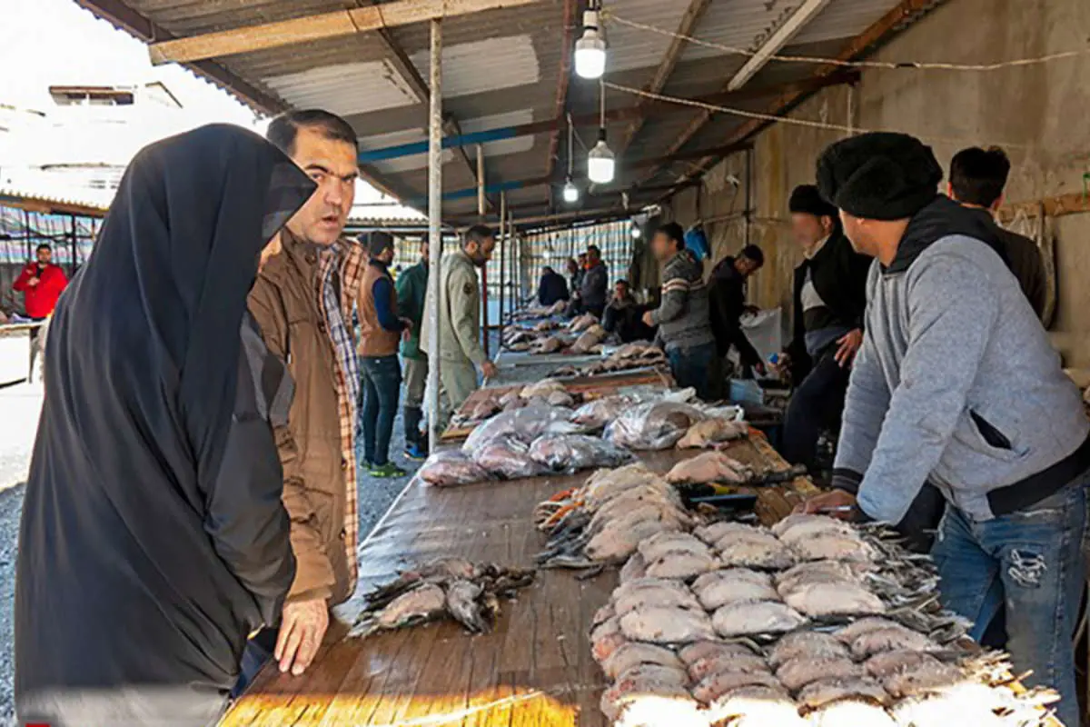 بازار پرندگان وحشی فریدونکنار برای همیشه تعطیل میشود