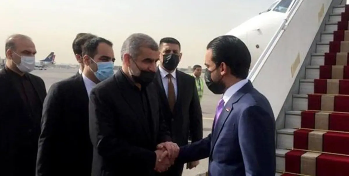 رئیس مجلس عراق وارد تهران شد