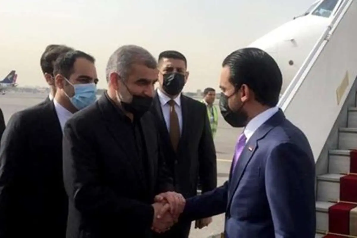 رئیس مجلس عراق وارد تهران شد