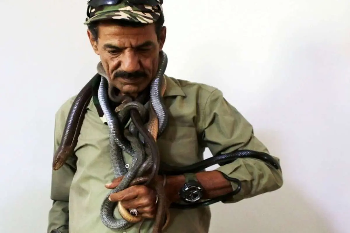 (ویدئو) زندگی مردی با مارهای سمی؛ با مار، مسواک بزنید!