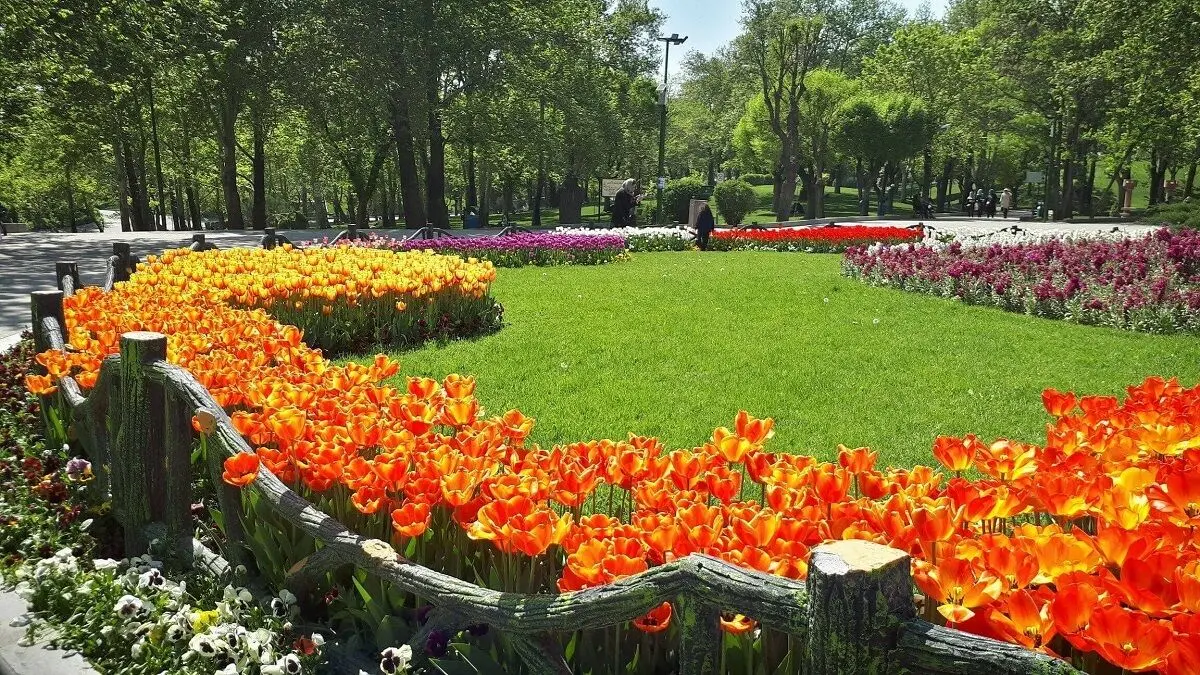 پیش‌بینی وضعیت آب و هوای تهران فردا یکشنبه ۱۱ اردیبهشت