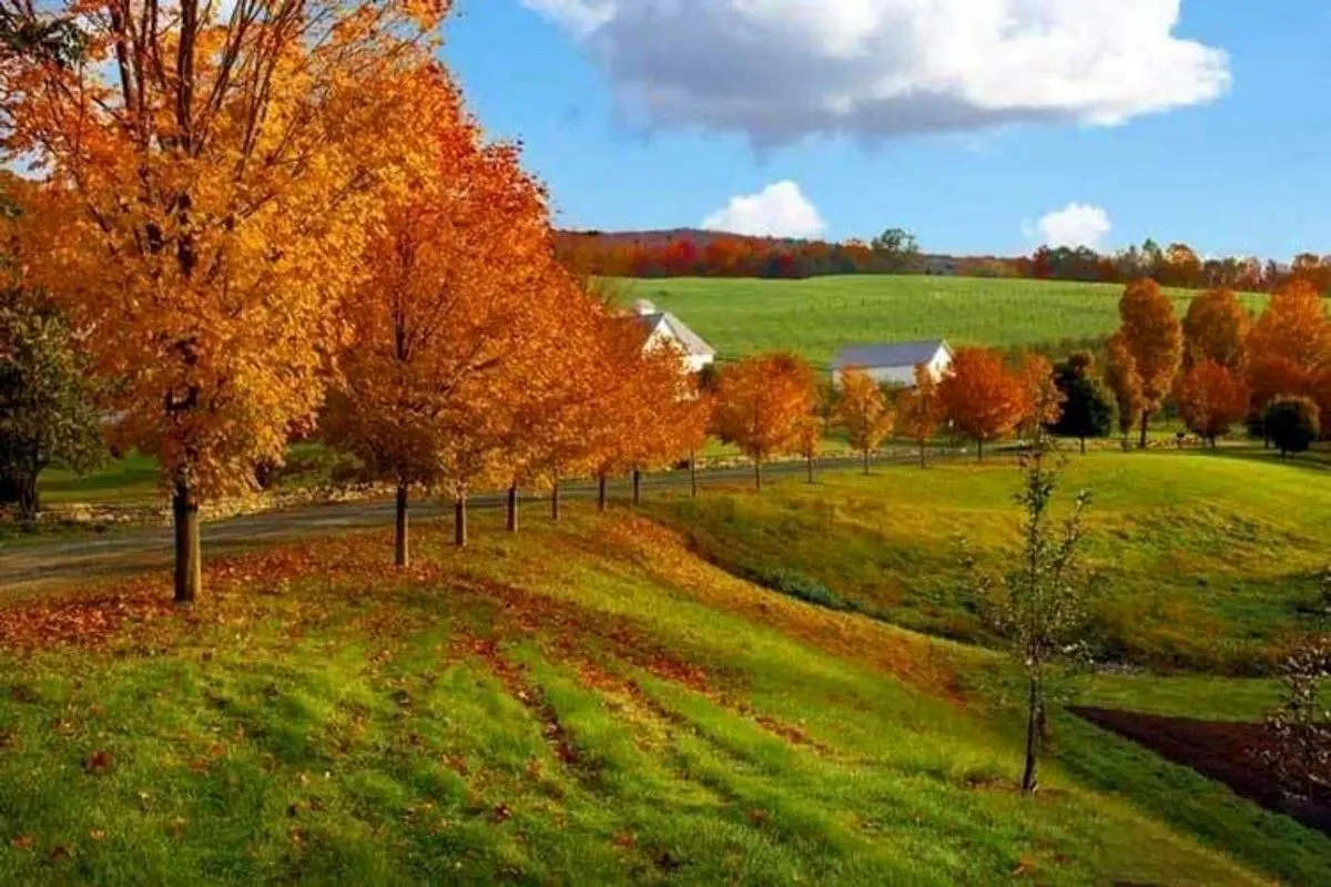 بهترین شهرهای مازندران برای سفر در تابستان کدامند؟