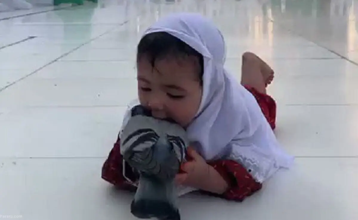 (ویدئو) کبوتربازی یک کودک در مکه